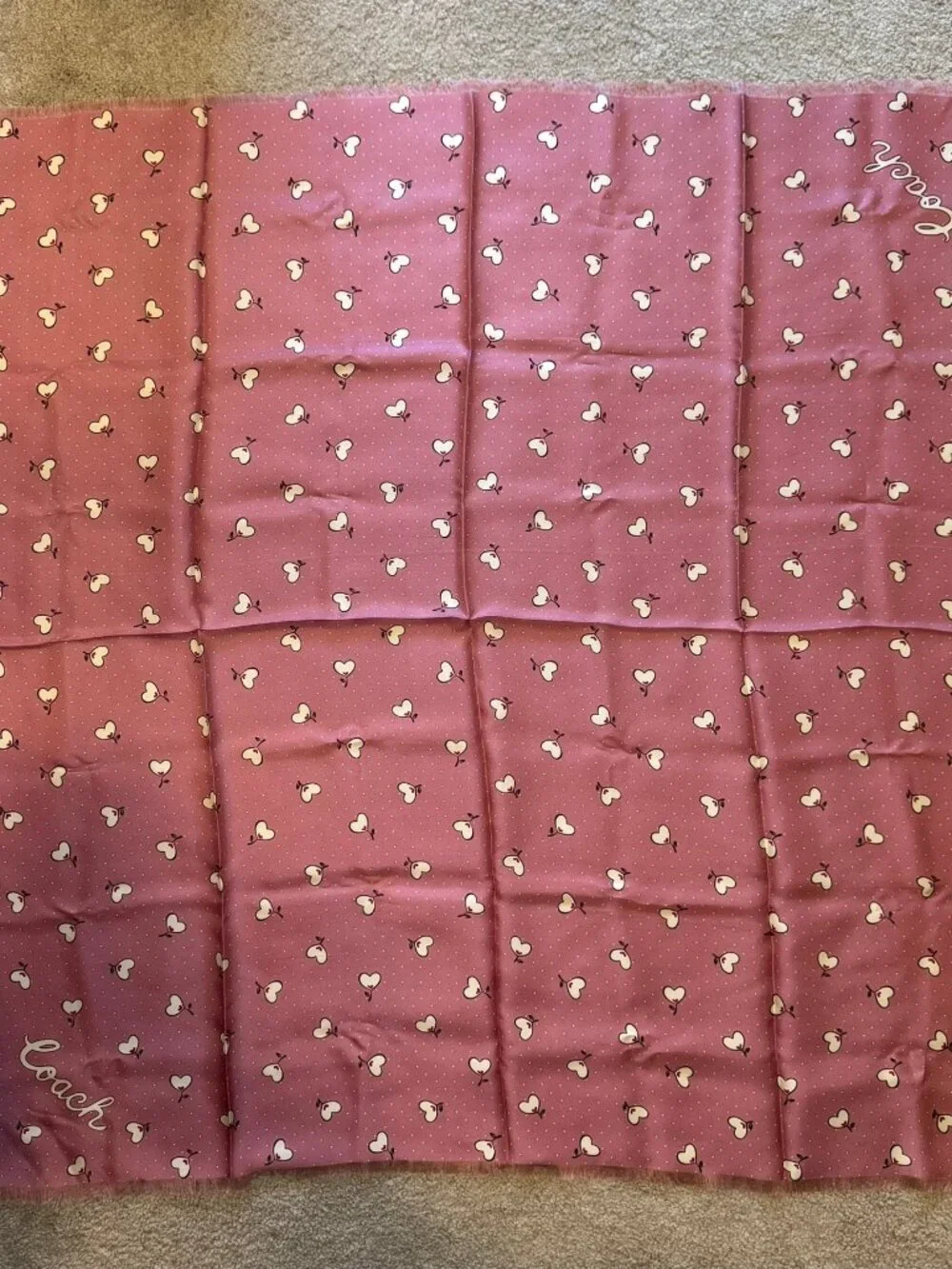 Coach Silk Scarf